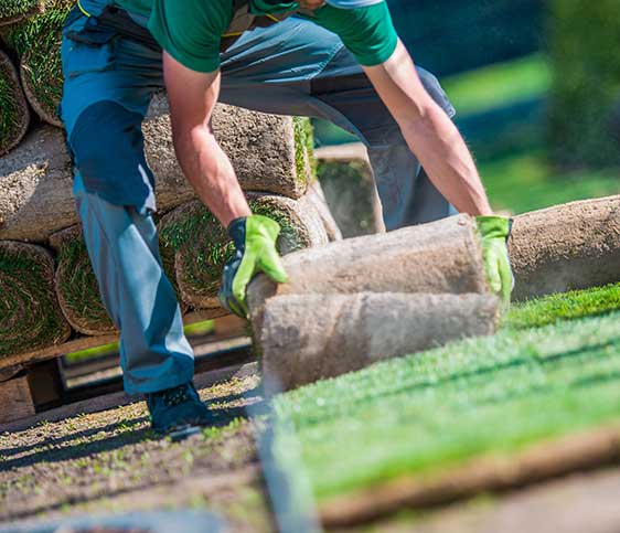 Landscaper Laying Turf — Turf Laying & Supplies in Townsville, QLD