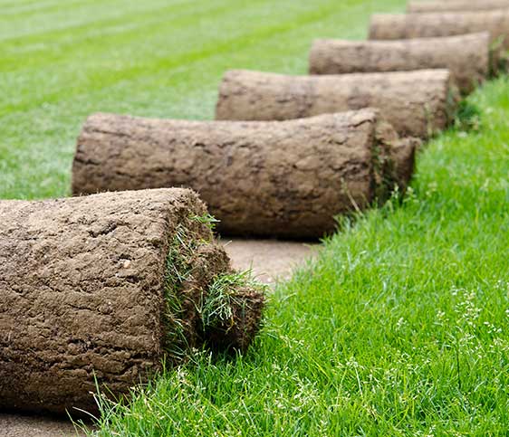 Rolled Turf — Turf Laying & Supplies in Townsville, QLD