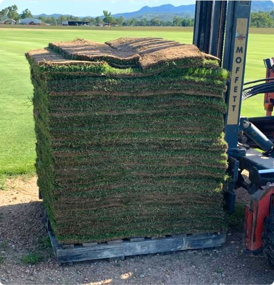 Piled Turf Sheets — Turf Laying & Supplies in Townsville, QLD